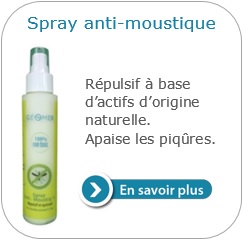 spray anti moustique