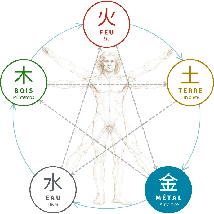 Schéma des cinq éléments de la Médecine Traditionnelle Chinoise