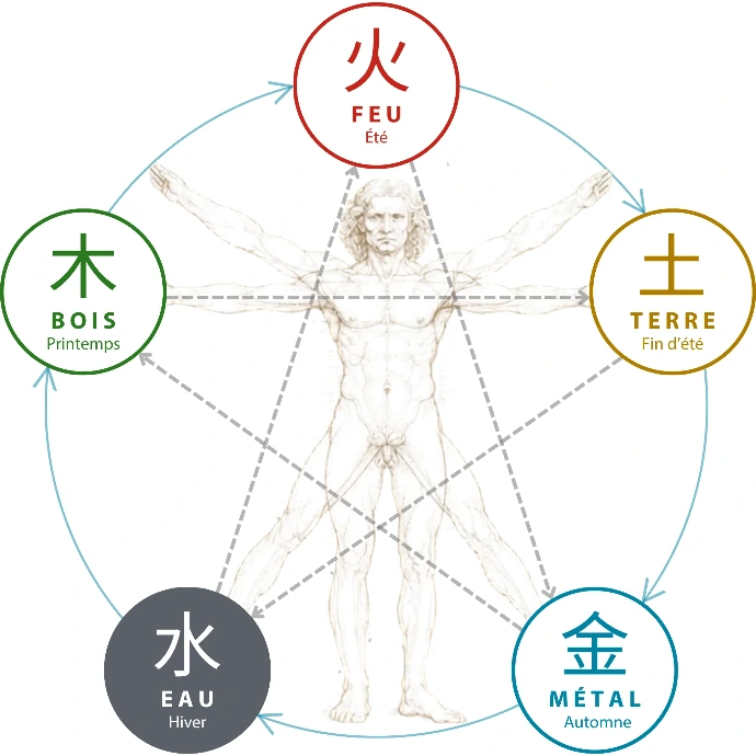 Schéma des cinq éléments de la Médecine Traditionnelle Chinoise