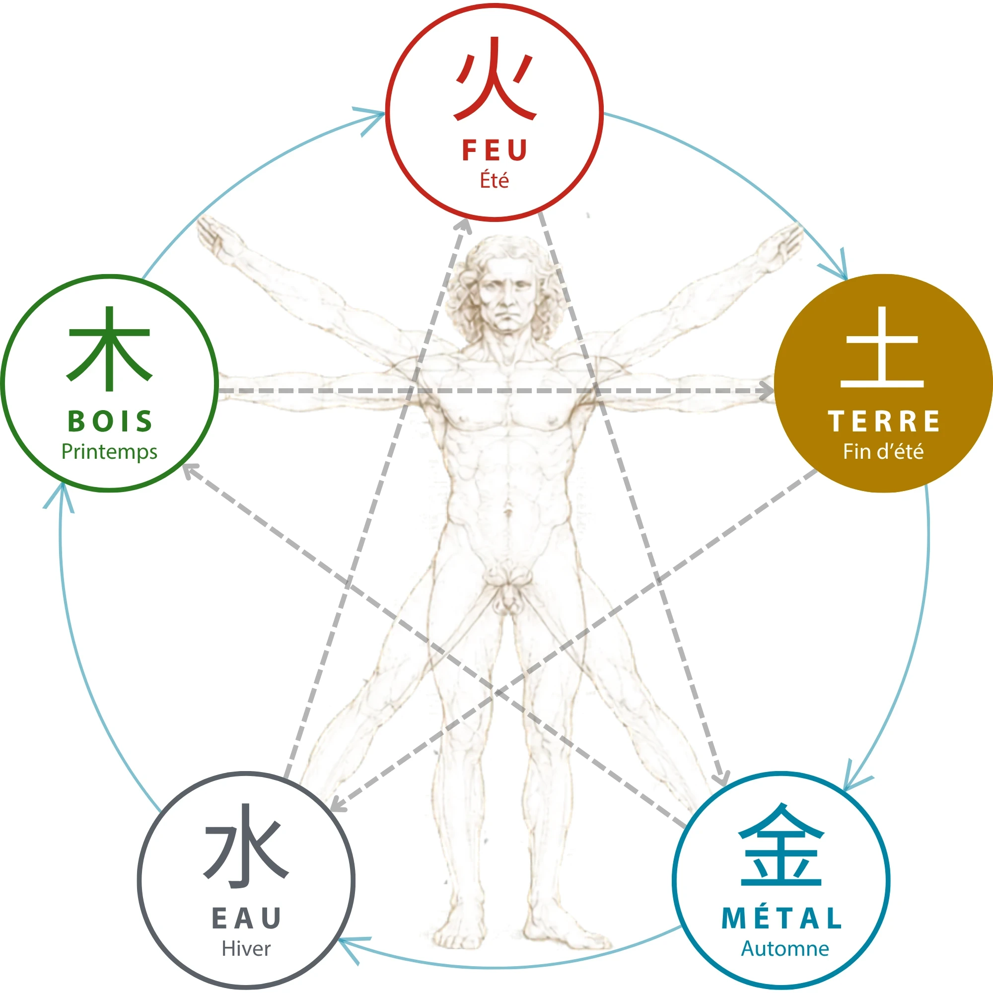 Schéma des cinq éléments de la Médecine Traditionnelle Chinoise