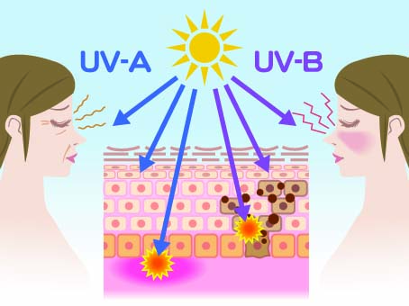 Efecto de los UVA y UVB sobre la piel — Laboratoire Géomer