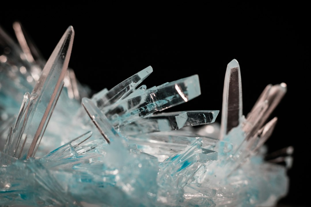 Le Silicium Organique