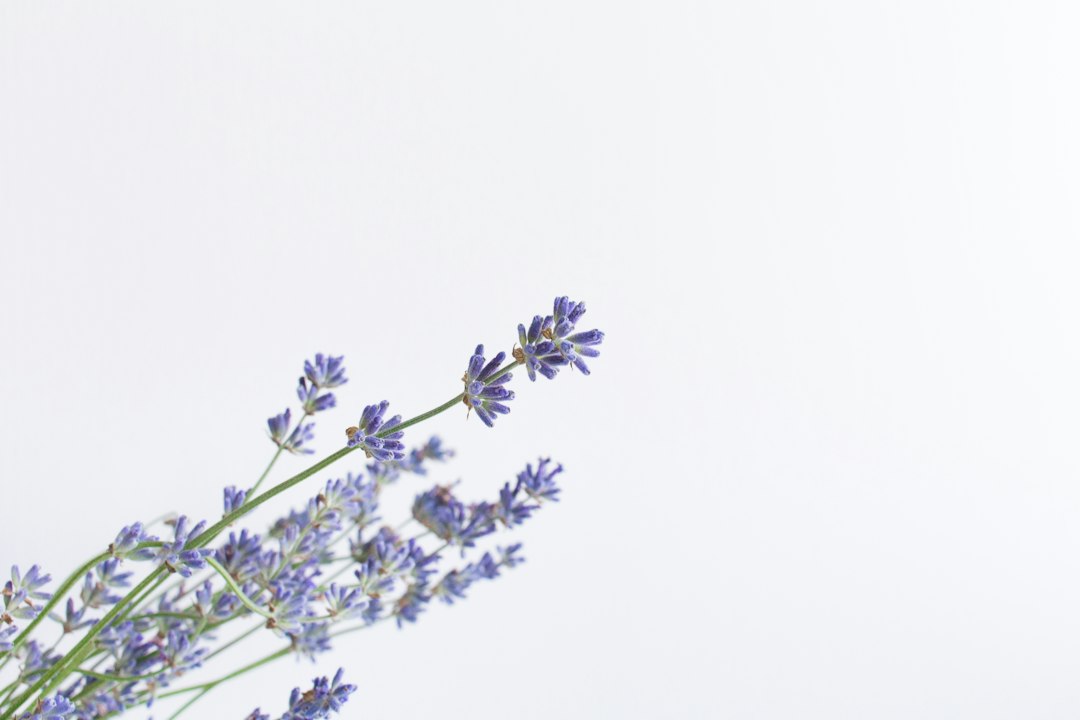 Les huiles essentielles